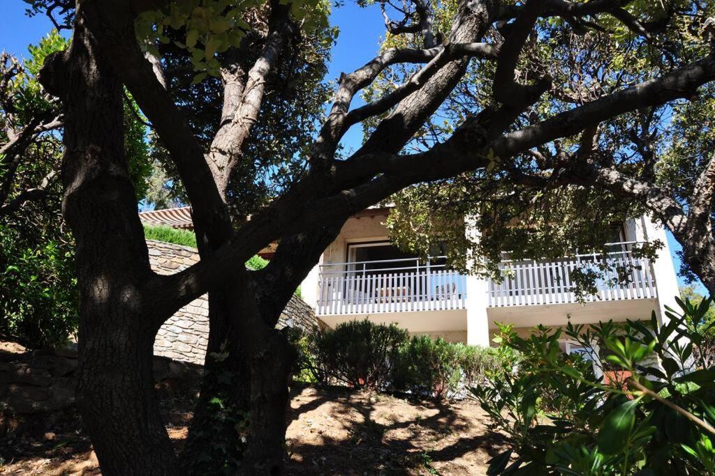 Villa Abeille : Douces Vacances D'Ete Avec Vue Mer Cavalaire-sur-Mer Exteriör bild